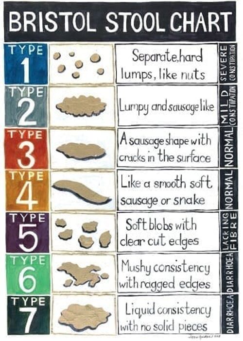 Bristol Stool Chart Poster Print