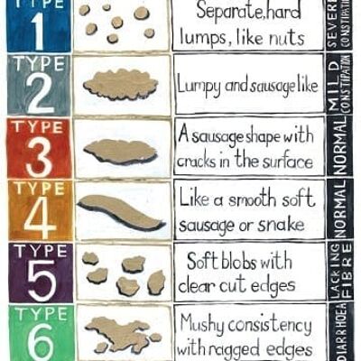 Bristol Stool Chart Poster Print