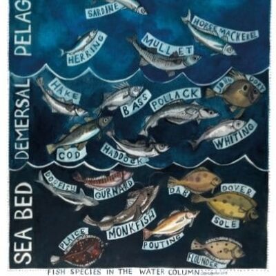 Fish in the Water Column Large Greetings Card