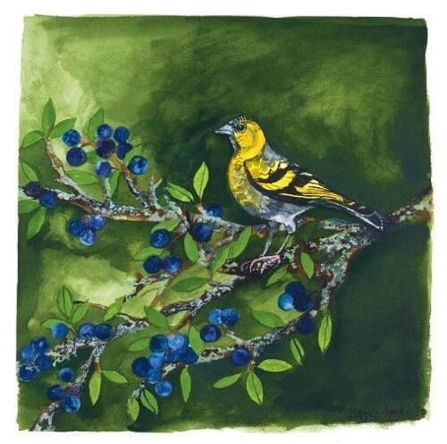 Yellow Bird Square Greetings Card
