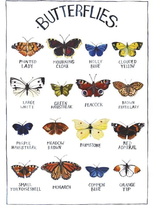 Butterflies Large Greetings Card