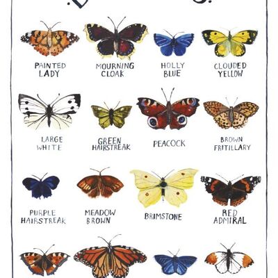 Schmetterlinge Große Grußkarte