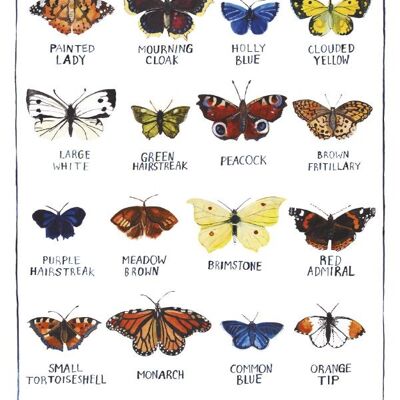 Grande Carte de Voeux Papillons