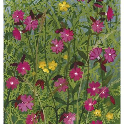 Red Campion Large Greetings Card