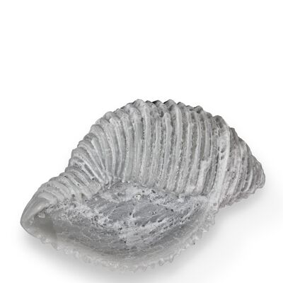 Vela de cera mineral - Concha marina / gris