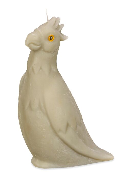 Natural Wax Candle - Green parrot