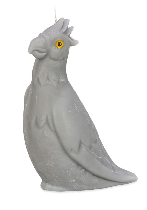Natural Wax Candle - Grey parrot
