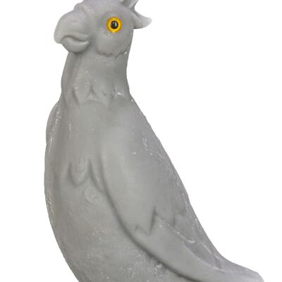 Bougie en cire naturelle - Perroquet gris