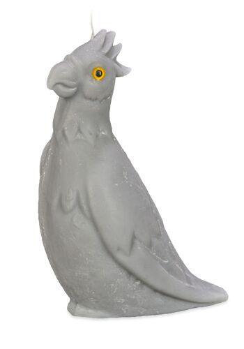 Bougie en cire naturelle - Perroquet gris 1