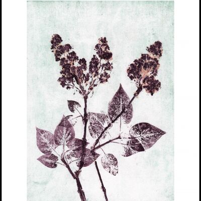 Lilac 1 plum/aqua 50x70 cm
