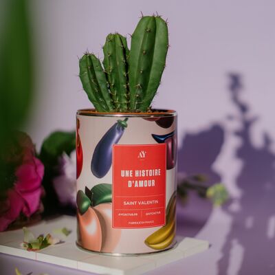 A LOVE STORY - Cactus (Valentinstag exklusiv)