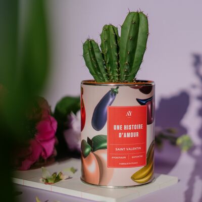 UNE HISTOIRE D'AMOUR - Cactus (exclusivité Saint Valentin)