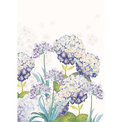 Torchon Jardin D'Hortensias Bleu 50 x 70 cm 100% pur coton