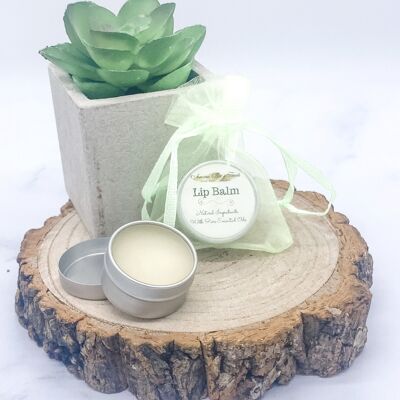 Lip Balms - Organic Beeswax - Lemon and Lime