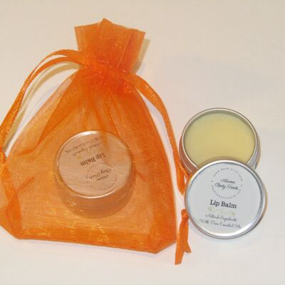 Lip Balms - Vegan - Candelilla Wax - Peppermint and Vanilla