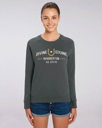 Pull Cheval Divin 2