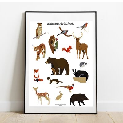 Poster The animals of the forest A4