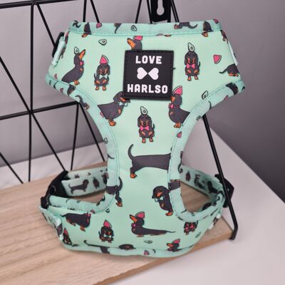 Adjustable Harness – Love Harlso