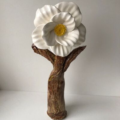 Anemone Tree Lady