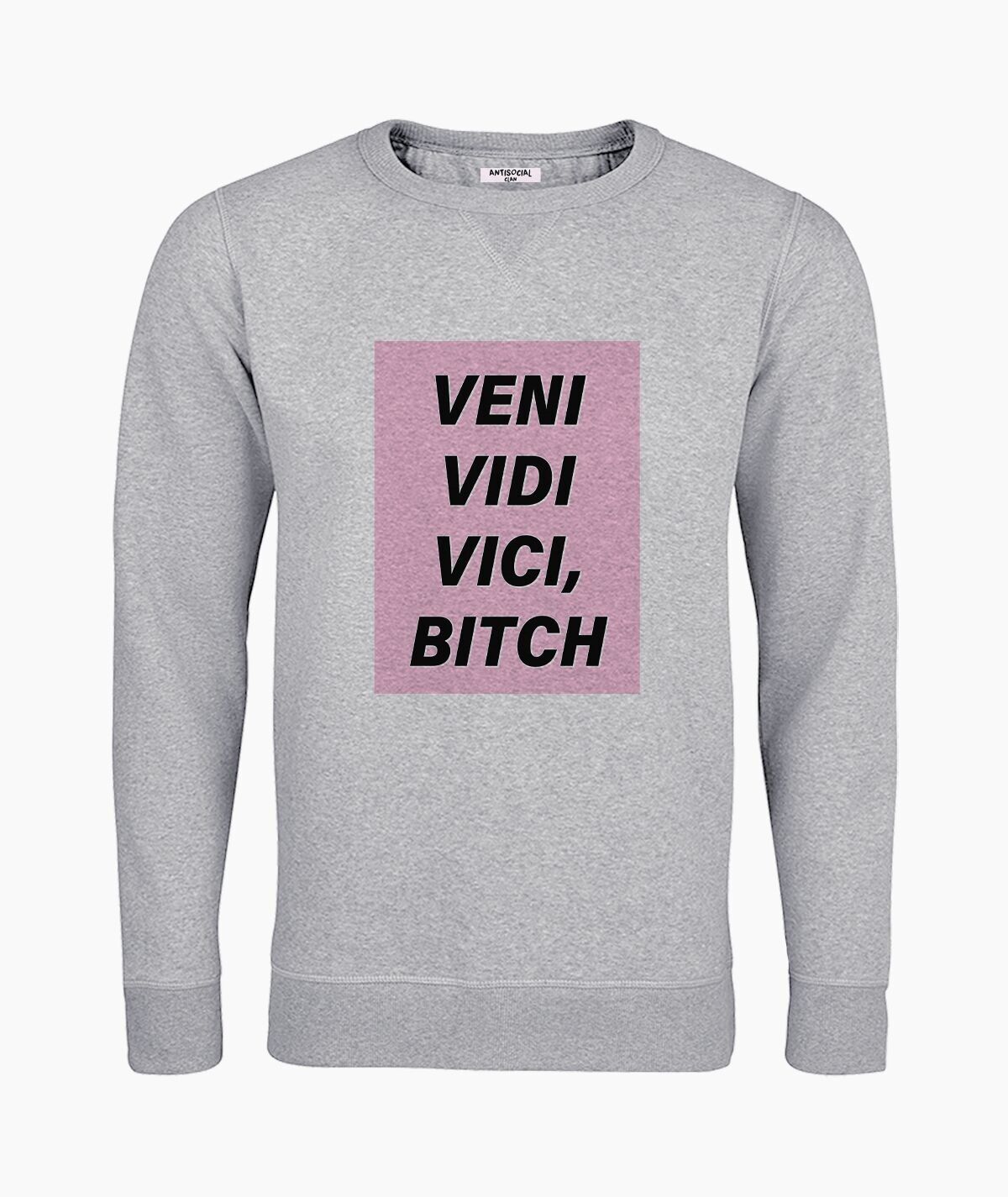 Veni vidi vici gray unisex sweatshirt