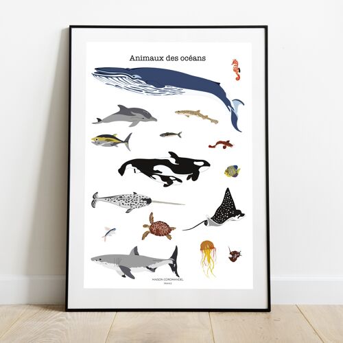Affiche Les animaux des océans A4