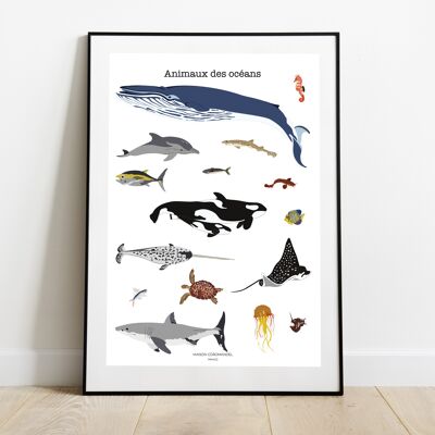 Poster The animals of the oceans A4