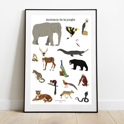 Poster A4 Animali della Giungla