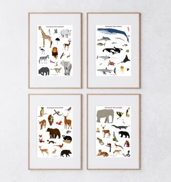 Affiche Les animaux de la savane A4 3