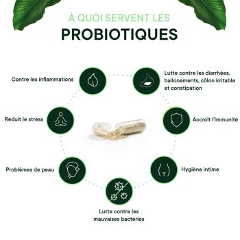 Probiotiques français - 60 gélules 5