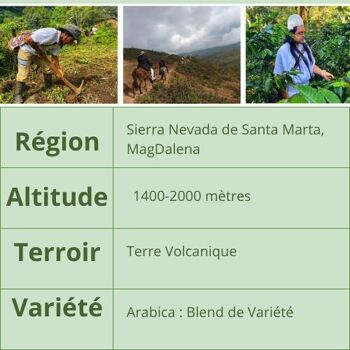 Colombie Sierra Nevada bio 500g moulu (issu agriculture bio certifié FR-BIO-13) 2