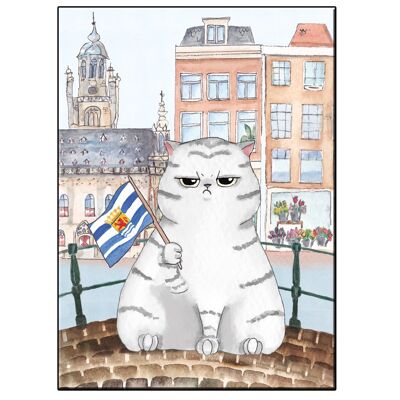 A5 fun cat in middelburg city card