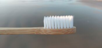 Boite de 12 brosses à dents en bambou - HIGHT QUALITY 7