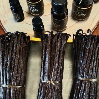 Vanilla pods VB Premium 15-17cm or 18-21cm - 1kg