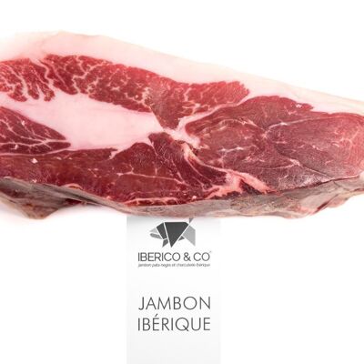 IBERIAN SHOULDER PIECE CEBO DE CAMPO 18 MONTHS