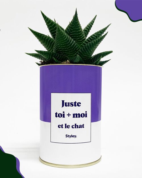 Cactus - Toi + Moi Et Le Chat