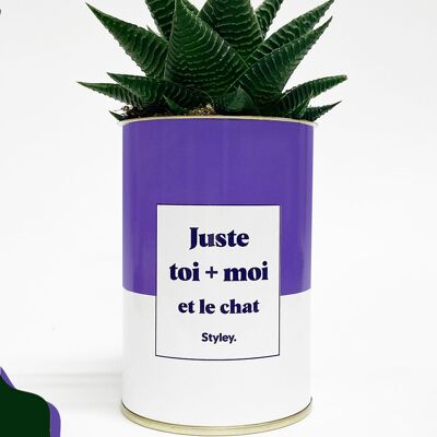 Cactus - Toi + Moi Et Le Chat