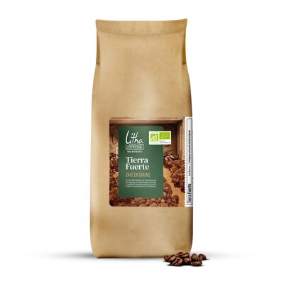 Café orgánico en grano Tierra Fuerte 1 KG