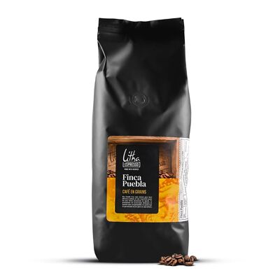 Café en grains BIO Tierra Fuerte 1 KG (*)