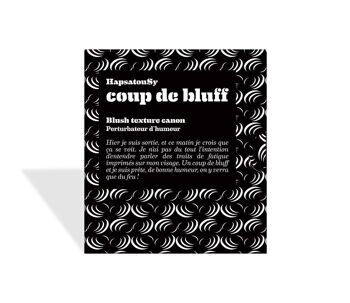 Blush 'coup de bluff' 02 BASHO 4