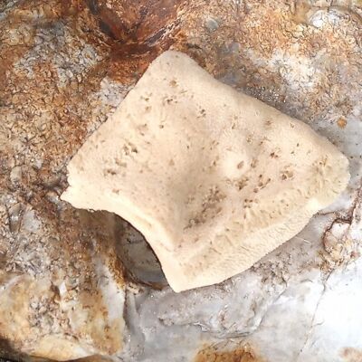 Baby Natural Sea Sponges , SKU397