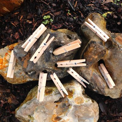 Wooden Clothes Pegs, 20 x Giant Beech Pegs - Two (40 pegs) - £9.00 , SKU406