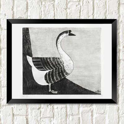 GOOSE PRINT: Vintage Bird Illustration Art - A5