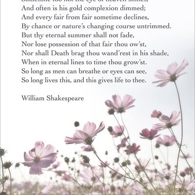 SONNET 18 PRINT: William Shakespeare Love Poetry Art - A4