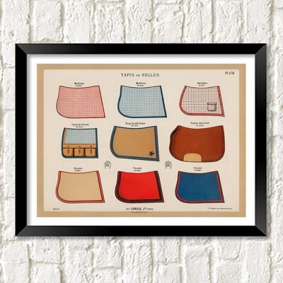 HORSE SADDLE PRINT: Types of Saddles Art Wall Chart Illustration - 7 x 5"