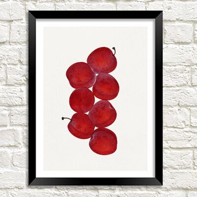 PLUMS PRINT: Vintage rote Frucht Art Illustration – A4