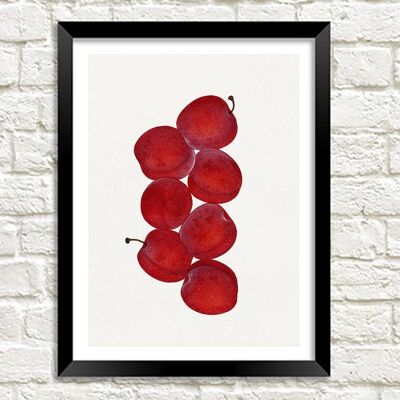 STAMPA DI PRUGNE: Illustrazione d'arte della frutta rossa dell'annata - A5