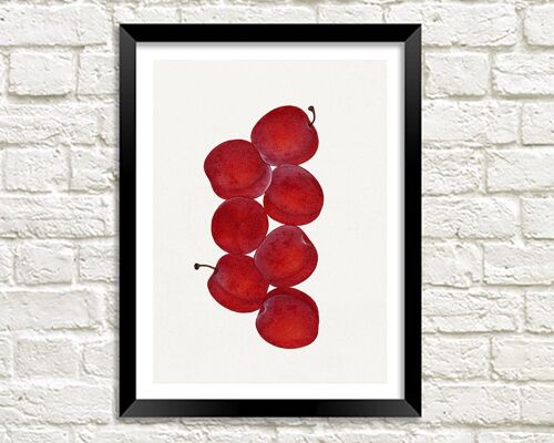 PLUMS PRINT: Vintage Red Fruit Art Illustration - A3