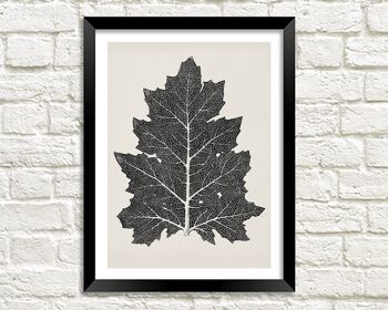 LEAF DRAWING PRINT : Art botanique noir et blanc par Owen Jones - 16 x 24"