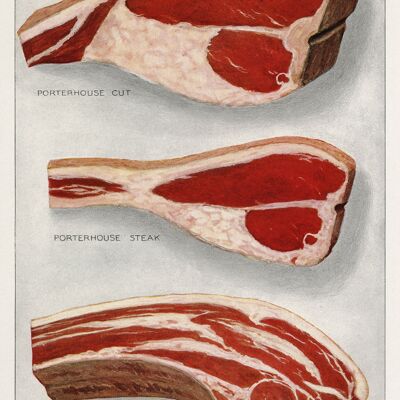 BUTCHER POSTERS: Enciclopedia de la tienda de comestibles Salchichas y bistecs Carne Impresiones artísticas - 7 x 5" - Carne de res