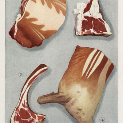 POSTER DEL MACELLAIO: Stampe d'arte di salsiccia e bistecche dell'enciclopedia del droghiere - 7 x 5" - Agnello